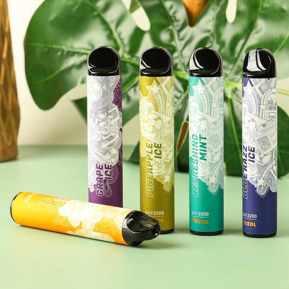 Vozol 20k Review Miami Mint By VOZOL VISTA 20000 Puffs Disposable Pod