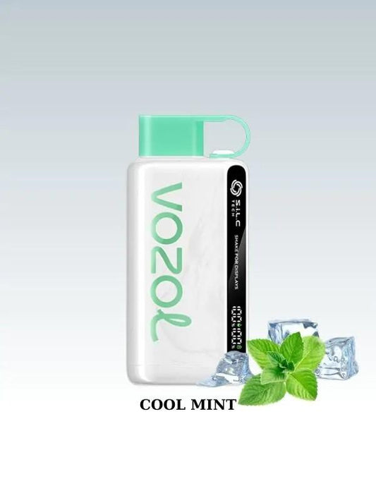 Vozol 12000 Cool Mint
