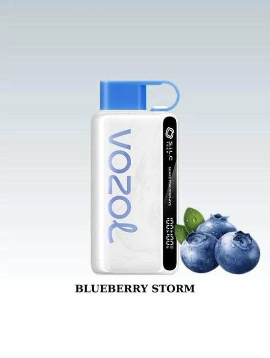Vozol 12000 Blueberry Storm
