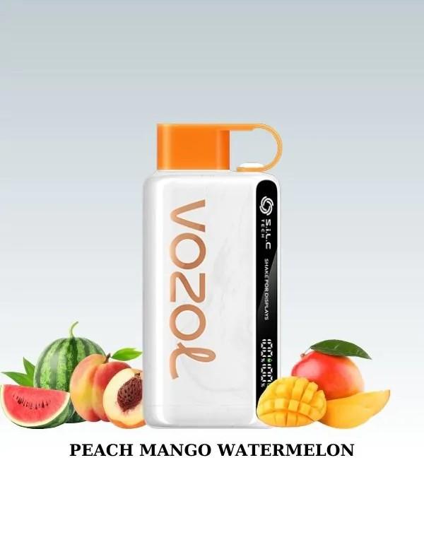 Vozol 12000 Peach Mango Watermelon